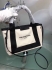 Balenciaga Bag 004